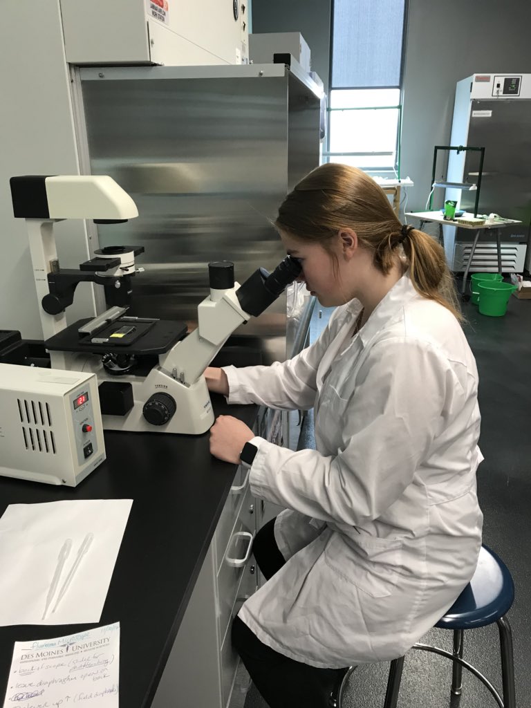 APEXBioResearch's tweet photo. Claudia and Trevor learning immunohistochemistry on rat brain slices looking at high blood pressure brain mechanisms w Dr Barnes @DesMoinesUniv @WaukeeAPEX  #researchskills #waukthetalk #biochemistry #valueaddedprojects https://t.co/ca5LAf53oc