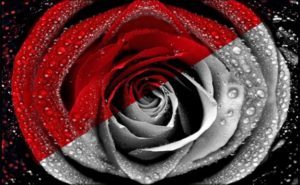 Daily Fun Honey Bee Fact Honey Bees do not see red. #honeybee #bee #honey honeybees.earth/buzz/daily-fun…