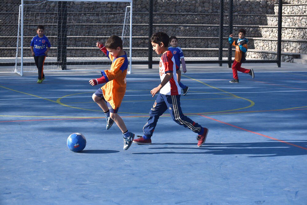 DPR_RM's tweet photo. Feliz #DíadelDeporte! Hoy celebramos la actividad física y vida sana invitando a todos los habitantes de la Región Metropolitana a sumarse a las iniciativas deportivas impulsadas por sus municipios y comunidades, y disfrutar del deporte porque entre todos #ChileSeMueve 🤸‍♀️ https://t.co/bLnT7PCkJk
