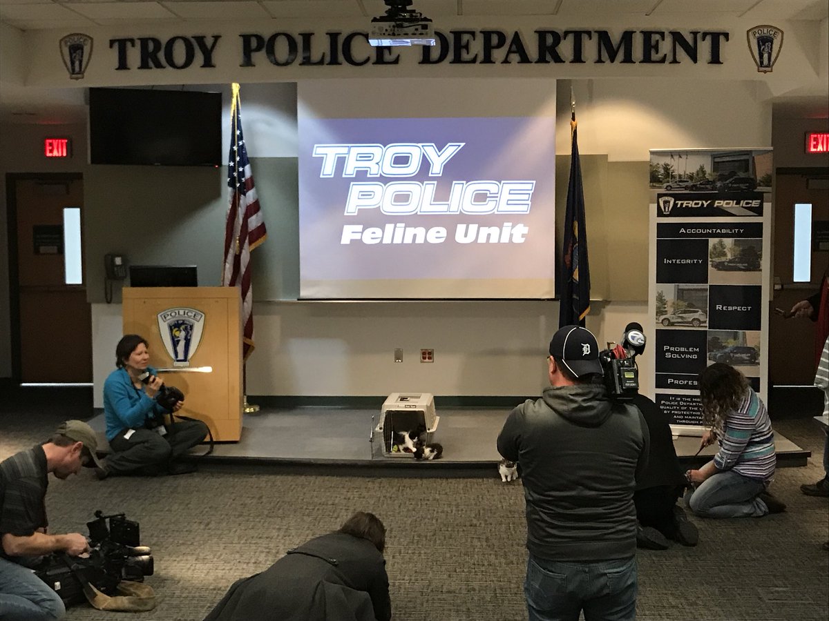 TroyMI_Police's tweet photo. Happening now!  Cat press conference underway https://t.co/gmuo7hghAa