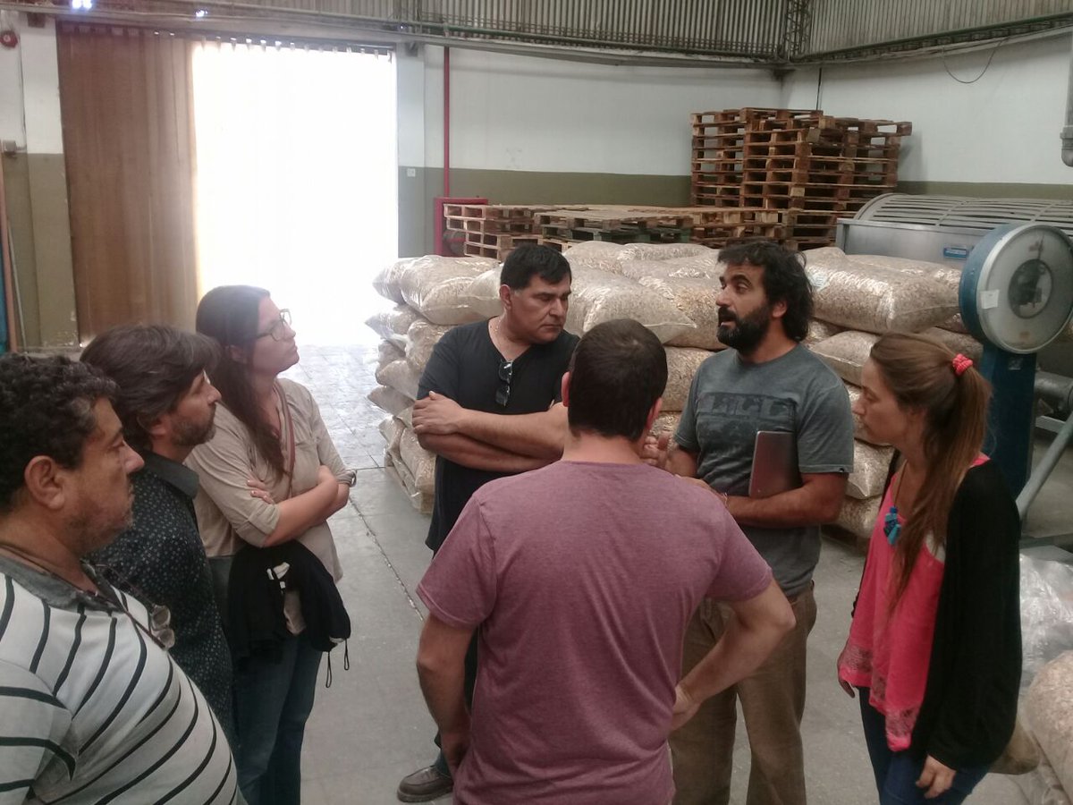 gcruzmza's tweet photo. Recorrimos la Coop La Terre (empresa recuperada) donde los trabajadores nos contaron las actividades que llevan adelante #ProgramaNODOS #Mendoza @MartinKerchner @nnavarrosanz @MINPRODUCCION https://t.co/txOgogn8kI
