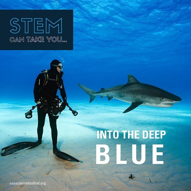 BigBlueandYou's tweet photo. We're diving into the @usasciencefest today! Stop by our booth at #SciFest as we team up with @coralrestorationfoundation to bring you a hands on interactive station to learn more about the big blue! .
.
.
.
.
.
#TeamBigBlue #OceanConservation #YouthActi… https://t.co/AqRcGrXSEG https://t.co/1zBSV9LRys