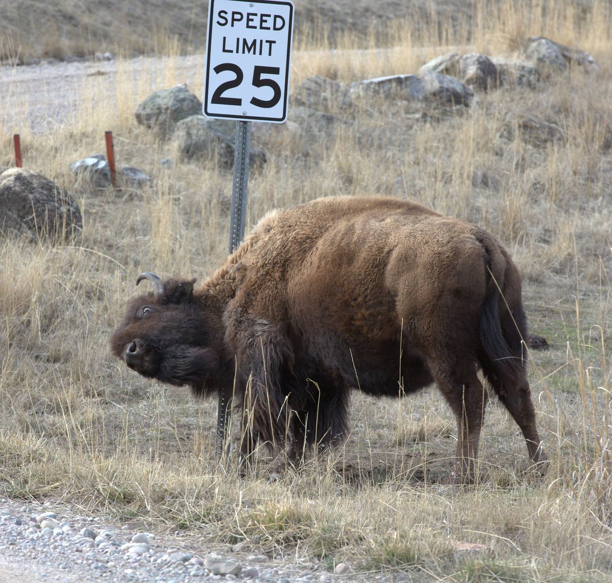 USFWS's tweet photo. if you                           then you don't 
don't love                    deserve 
me at my                     me at my https://t.co/hx3PKuuuYz