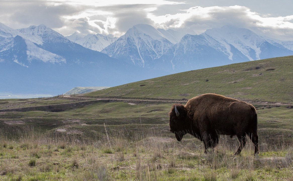 if you                           then you don't 
don't love                    deserve 
me at my                     me at my