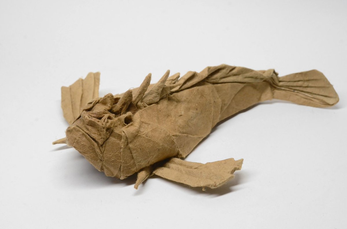 南のアルパカ 魚のシリーズは割とかわいいのが多いので見てくれると嬉しいです 折り紙で作ってます 一枚目から鰍 かじか 鮟鱇 あんこう 鬼虎魚 おにおこぜ 伊勢海老 いせえび