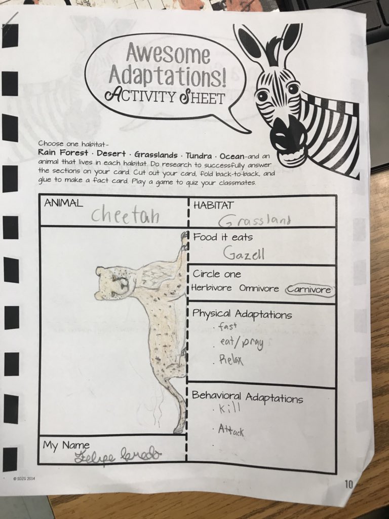 ClassroomLouis's tweet photo. Super Science Friday! Thank you @sandiegozoo for the activities! #Adaptations https://t.co/f8WvjI1Yw2
