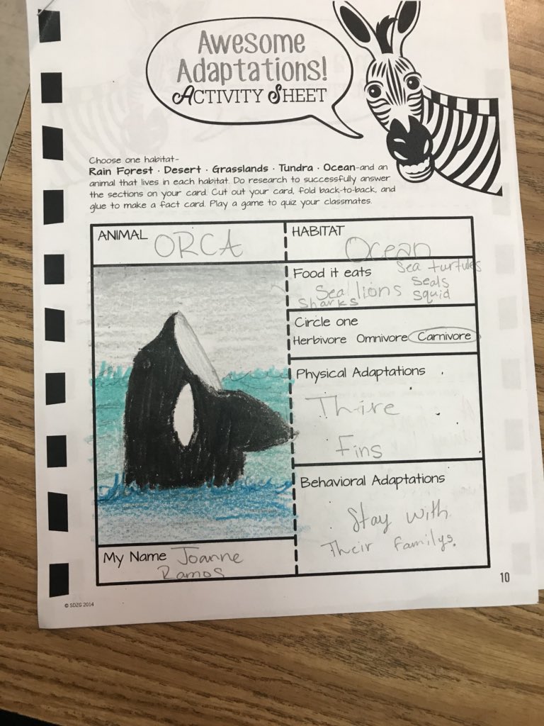 ClassroomLouis's tweet photo. Super Science Friday! Thank you @sandiegozoo for the activities! #Adaptations https://t.co/f8WvjI1Yw2