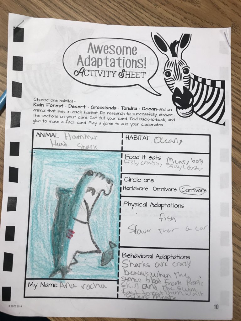ClassroomLouis's tweet photo. Super Science Friday! Thank you @sandiegozoo for the activities! #Adaptations https://t.co/f8WvjI1Yw2