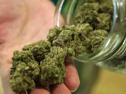 MobilePunch's tweet photo. Marijuana could help lower opioid addiction – Study
https://t.co/2uMP4n1V2S https://t.co/fcLAsixIu8
