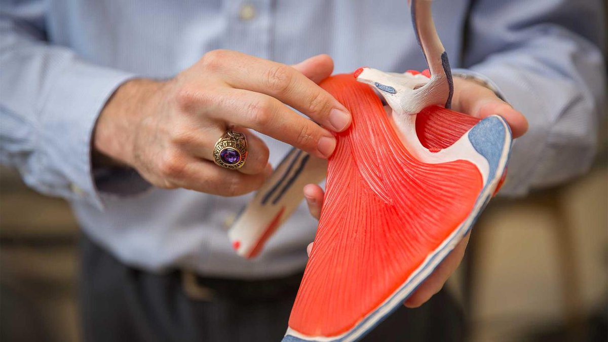 Waterloo Kinesiology (UWaterlooKin) Twitter