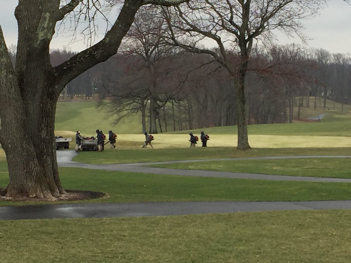 Michael Guli tweet media