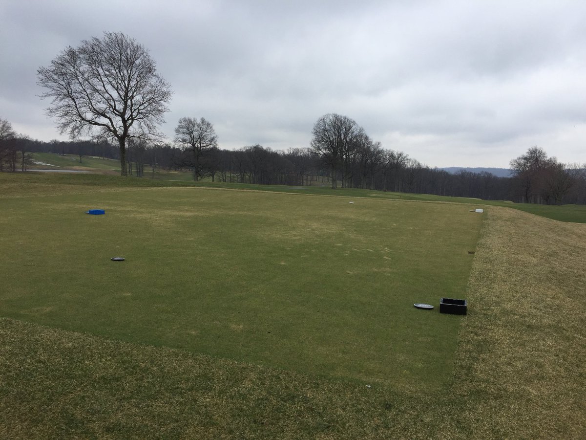 Michael Guli tweet media