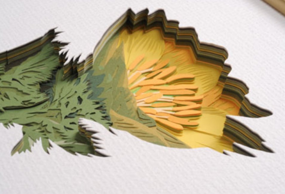 keizo_jcaa's tweet photo. 彫紙アートとは✨
何枚もの色紙を重ねて、1本のナイフで彫って描くアート。
実物を初めてご覧になると、皆さん驚きの声を上げます。

どうなってるの？！

不思議で、美しく、繊細な彫紙アートの素晴らしさをこれからどんどんtweetしていきます✨🙌

ご興味のある方、是非フォローお願いします✨ https://t.co/bkDprBYJFP