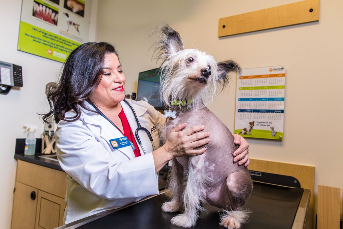 We know prevention is a powerful thing &amp; that’s why we created Optimum Wellness Plans! Through twice-a-year comprehensive veterinary exams and year-round attention, you have a partner in preventative health care.