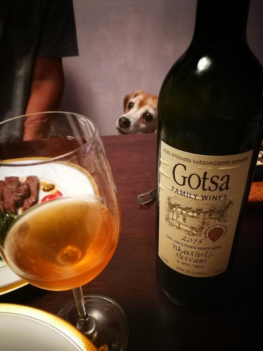 fukayaqui's tweet photo. yes ... #FridayFeeling
#vinnaturel #naturalwine #georgeawine #gotsa #beagles #lifewithbeagle https://t.co/jyPsYOIOce