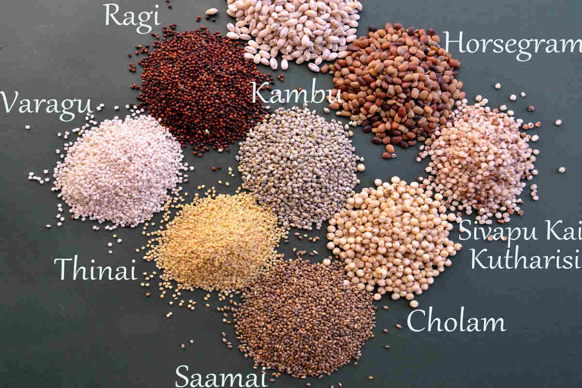 spandan_india's tweet photo. #Odisha #Millet Mission: a way forward to ensure #nutritional security @mssrf @LANSAresearch @ICRISAT https://t.co/TClN7vaDkE https://t.co/8aG3ywPaxo