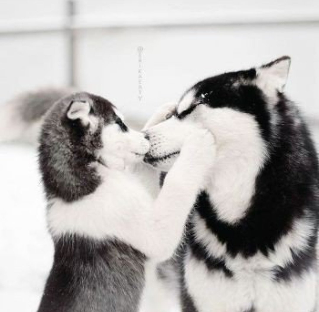 Kiss with love 💗