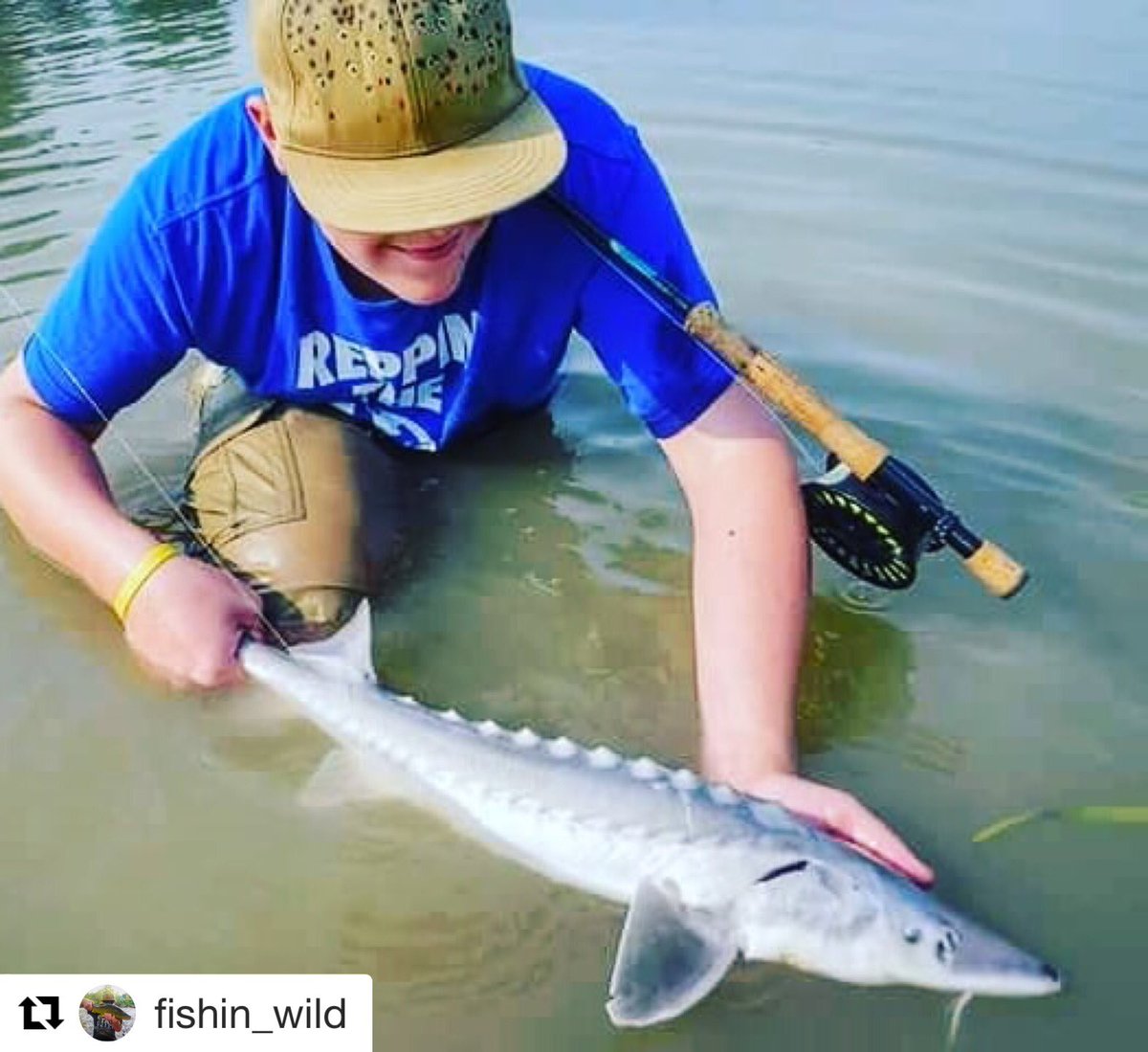 Sturgeon on the fly? Yes, please!
#Repost <a href="/fishin_wild/">Fishin wild adventures</a> 
・・・
You know what's fun? Catching new species, check my bio for the link to the article I wrote for <a href="/fishwest/">Fishwest</a> .