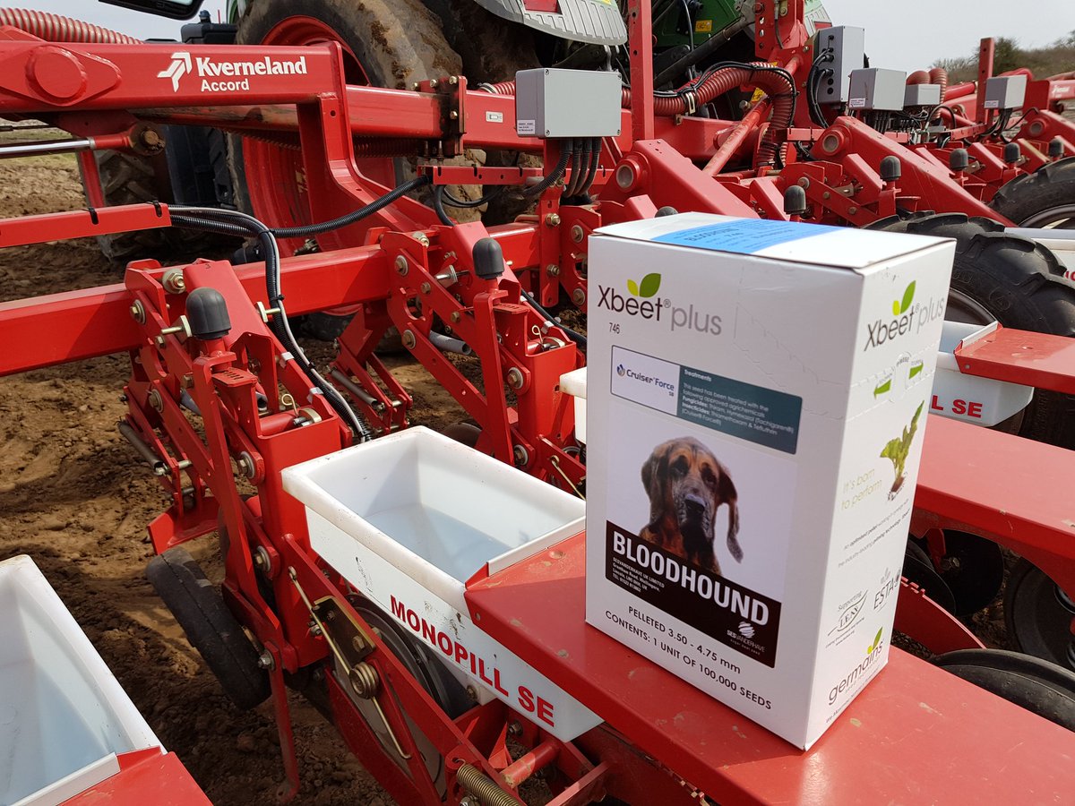 Ben Walker tweet media