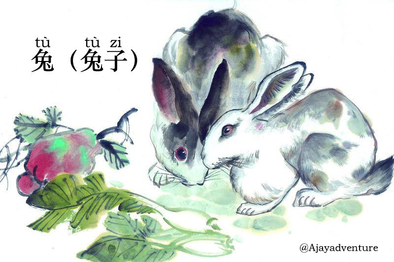 After tiger, is year of rabbit.  People who were born in rabbit year are known for their sensitivity and introspection, and it's believed that rabbits make ideal diplomats due to their levelheaded approach to situations.