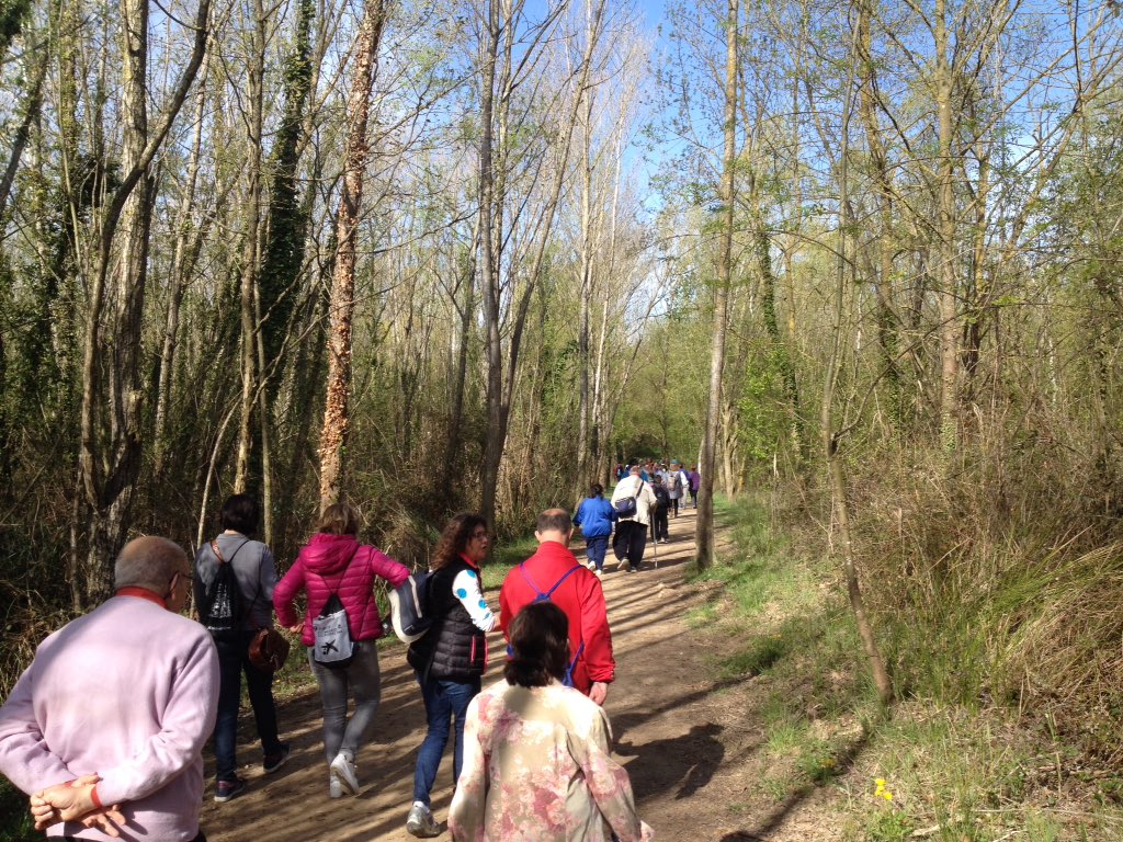 MontseAulinas's tweet photo. Celebrating #WorldPhysicalActivityDay with a health walk around #EstanyBanyoles @grupFRN #IN4ALL @EuSport #inclusion #disabilities https://t.co/9IGkt48to2