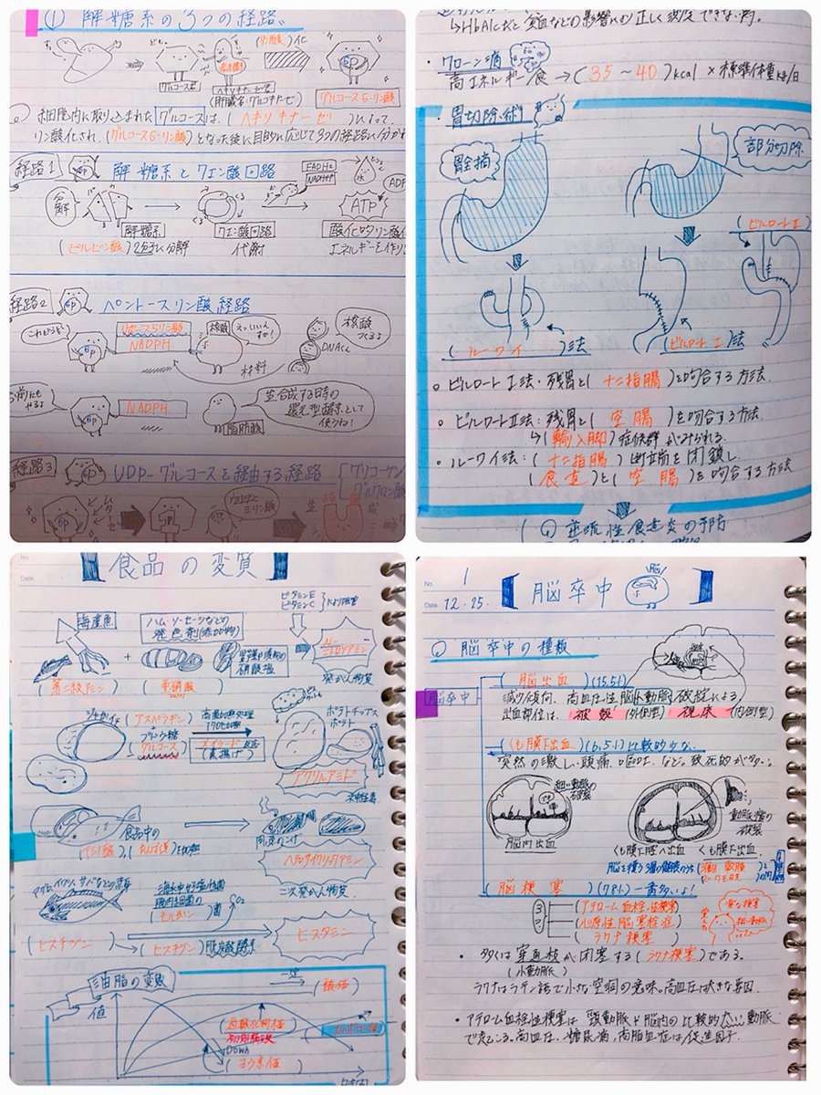 ノートの内容は間違ってる事もあるので無視して頂いて(恥ずかしいからツッコミもしないで……)、受験に使ってた暗記ノートがこんな感じでした?ホント落書き帳で見づらさ抜群。 