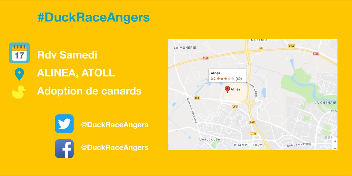 DuckRaceAngers's tweet photo. [ Adoption de canards 🐥 - Samedi 7 avril 2018 ] https://t.co/irrDMBxrR9