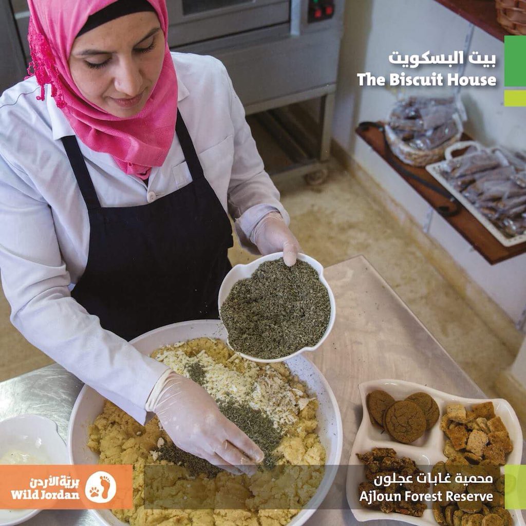 wildjordan1's tweet photo. Tasali Jordanian Delights! 🍪
All of our Tasali lines are handmade with care at the Biscuit House in Ajloun Forest Reserve by the local women using fresh ingredients from the local farms to create an authentic #Jordanian taste.
Available at the #NatureShop.
#WildJordan https://t.co/gtGO7aY0xE