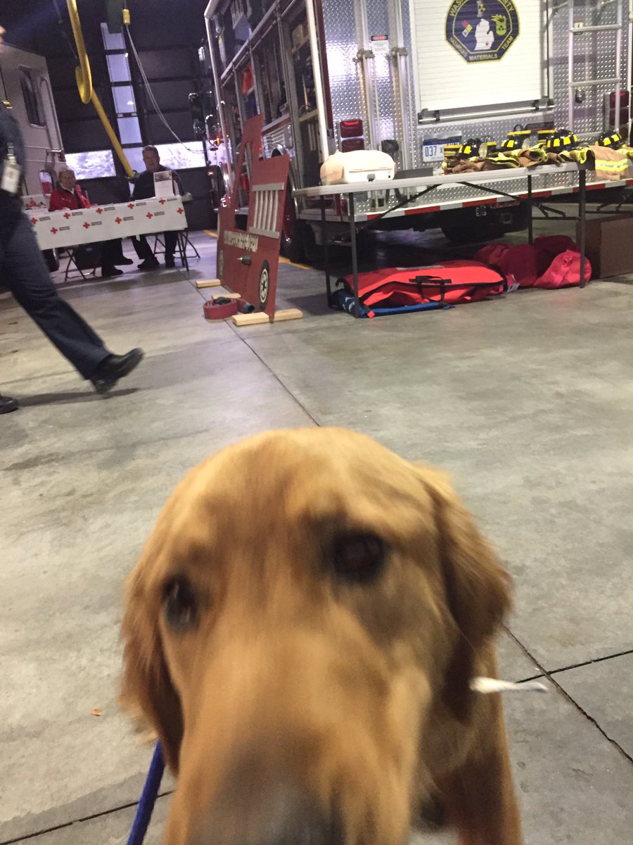 rhodesrunner9's tweet photo. Puppers are welcome at Firehouse Friday! We are here until 9 - stop by Ann Arbor Fire Station 6! @bankofannarbor #boaaHELPS https://t.co/h3sQNlsO9E