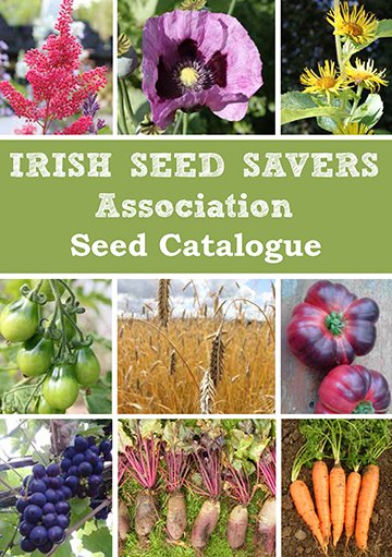 IrishSeedSavers's tweet photo. Our 2018 heirloom seed catalogue is available to download here https://t.co/RGitMO5F1S or just simply browse our online store. Hundreds of rare varieties to chose from. https://t.co/hlzVN3IDw2