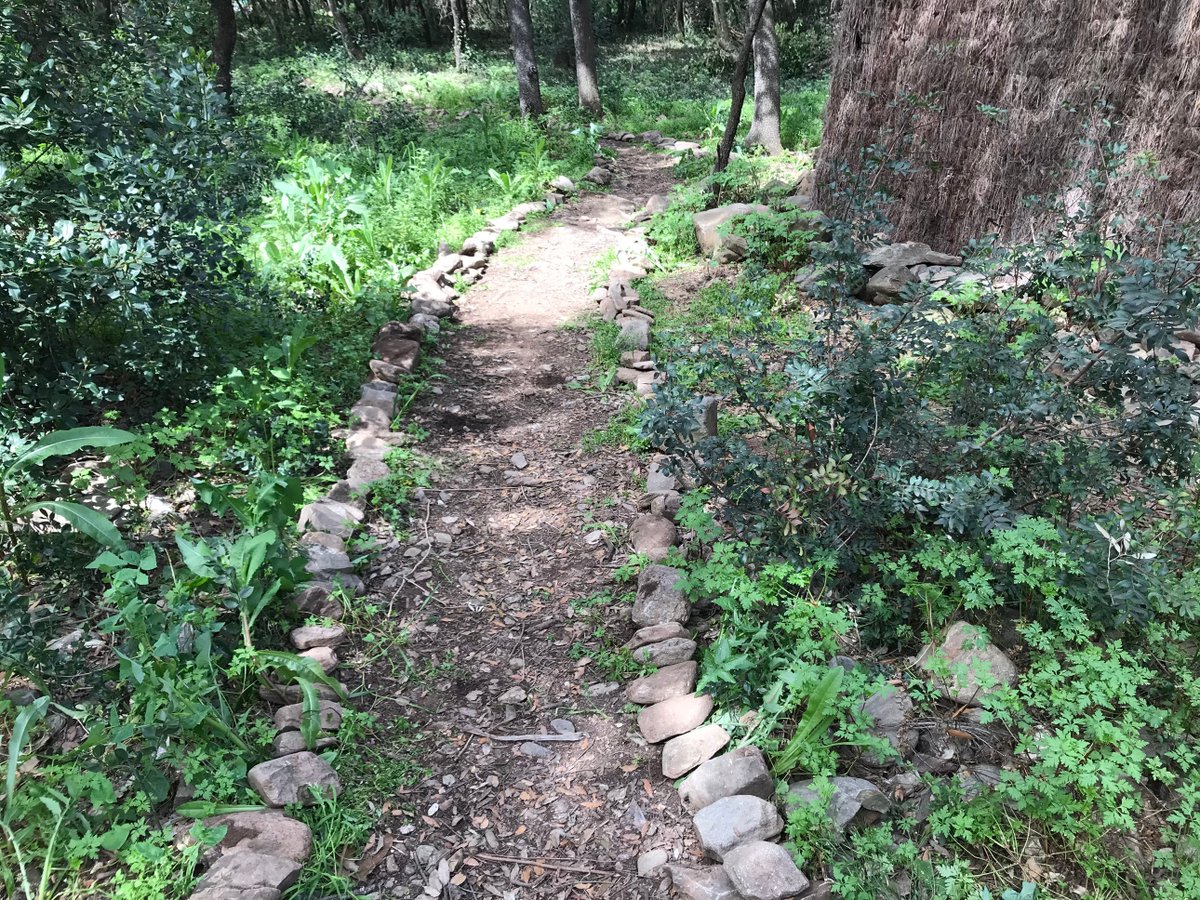 Vivelloc's tweet photo. Avui han vingut 8 #voluntaris de @SageSpain a @latavella i han desempedrat la zona de les ruques per evitar que es facin mal, amb aquestes es delimitarà el camí del #boscsentits. Han estat acompanyats per 1 oficial i alumnes de #FeinaJove. Esperem tornar-vos a veure ben aviat! 😊 https://t.co/nFkp93uq7I