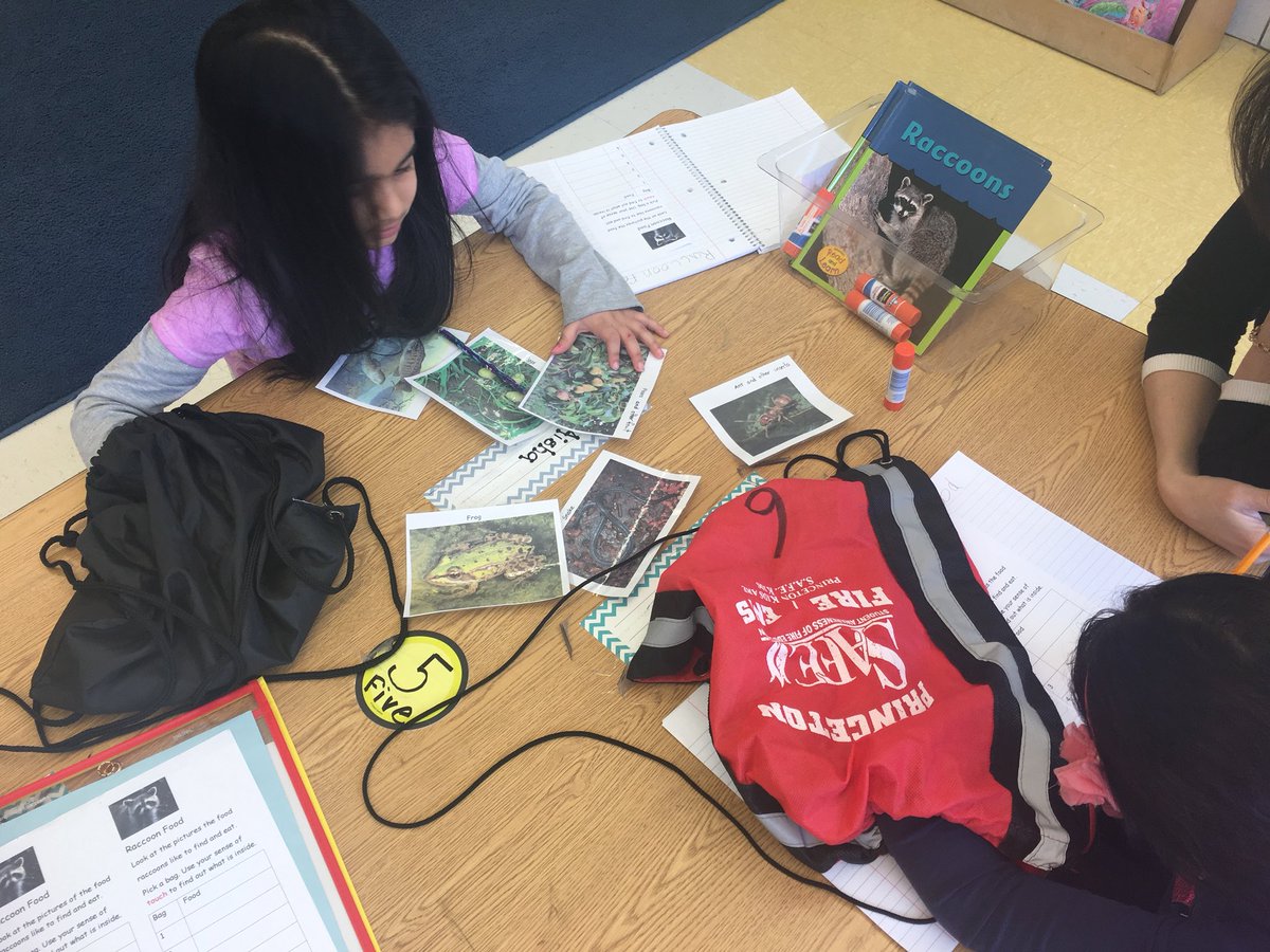 KariAddington's tweet photo. First Grade uses hands-on science to learn how animals use their senses and body parts. #rabbiteyes #animaltails #birdbeaks #batsenses #animalfeet #raccoonfood @FalesPrincipal https://t.co/djgbSJK6zg