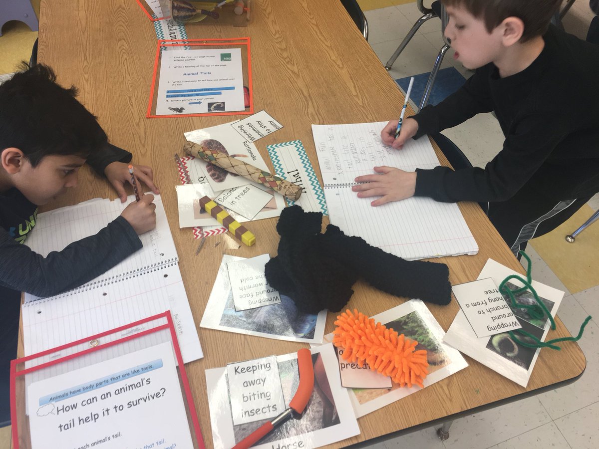 KariAddington's tweet photo. First Grade uses hands-on science to learn how animals use their senses and body parts. #rabbiteyes #animaltails #birdbeaks #batsenses #animalfeet #raccoonfood @FalesPrincipal https://t.co/djgbSJK6zg