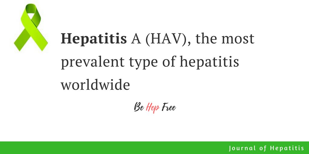 JournalHep's tweet photo. #hepatitis #Hepatology #FactsOnly #liver https://t.co/gKXUyCqBr2