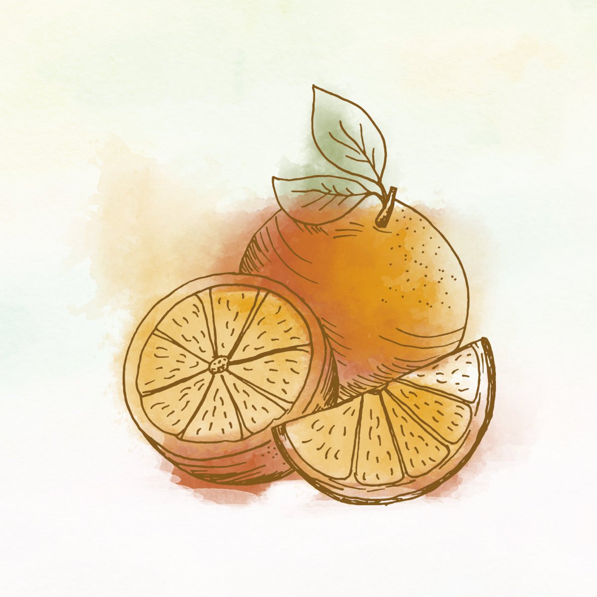 thinkdrinksltd's tweet photo. Our team of designers are always on hand to create any new assets our clients need such as bespoke labels to seasonal menu designs and everything in between.
Contact us to see what we can do for you!
#fullservice #everythingyouneed #bespokemenu #custom #labeldesign #thinkdrinks https://t.co/5lHd3BYPeI