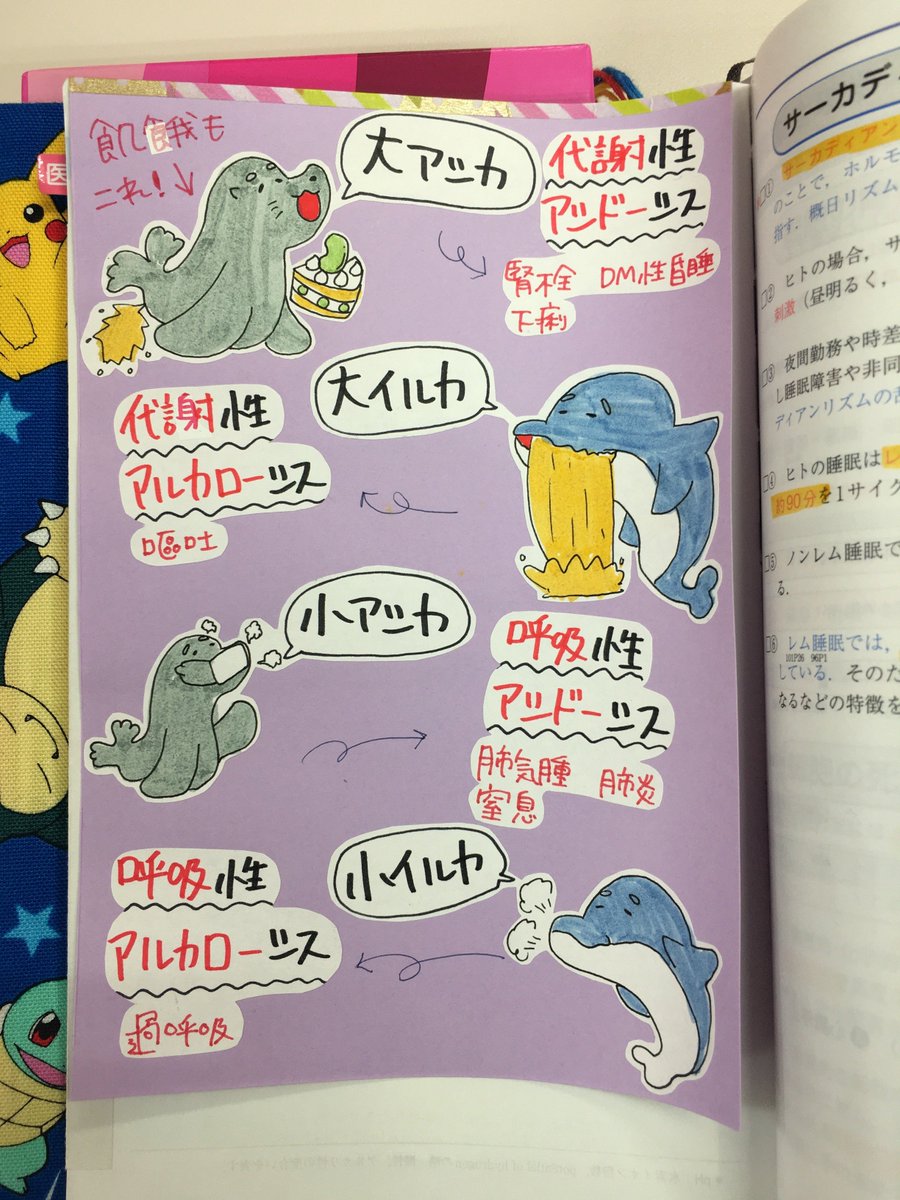 サーカディアンリズム 看護