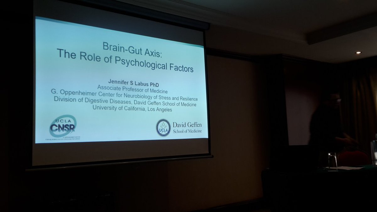 BeateNiesler's tweet photo. #IBS #IBSAwarenessMonth #HelpEUinIBS Symposium Diagnosis a d Treatment of IBS in Malta Jennifer Labus speaking on brain gut axis in IBS @esnm_eu @RomeFoundation @ANMSociety https://t.co/olcn8W17Sm