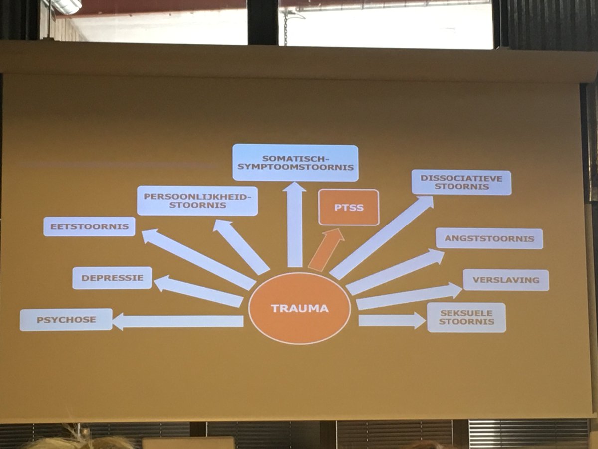 VerenigingEMDR's tweet photo. Ad de Jongh: Trauma leidt niet alleen tot PTSS, maar ook tot andere stoornissen, zoals eetstoornissen en seksuele stoornissen#EMDR#EMDR2018 https://t.co/27xKaxbrfW