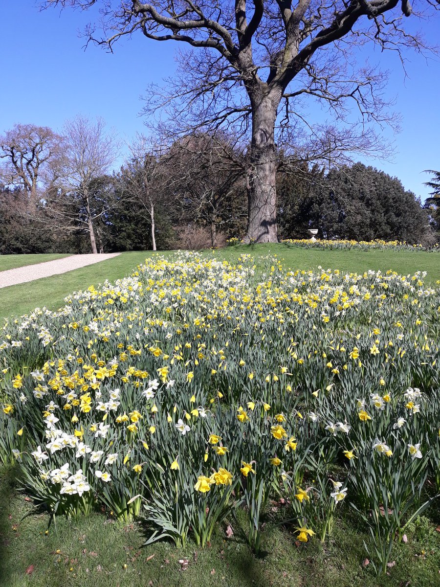 gardenburghley's tweet photo. NATIONAL GARDEN SCHEME @burghleyhouse 7th and 8th April 11 till 4pm, £4 adult, children free  .
Also 37 stalls of Fine Food Market in the stable court yard ,free entry . https://t.co/neQvof4NeG