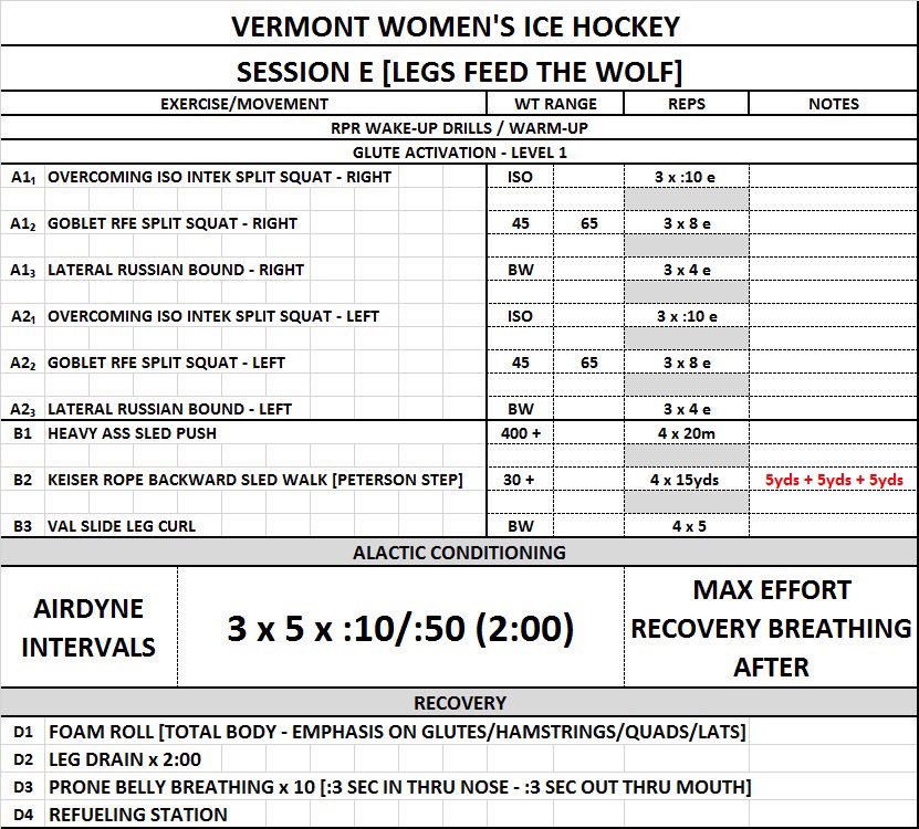 VT_HockeySC's tweet photo. Great morning workout with @UVMwhockey today! Way to finish the week. https://t.co/nBuw40Qo4h