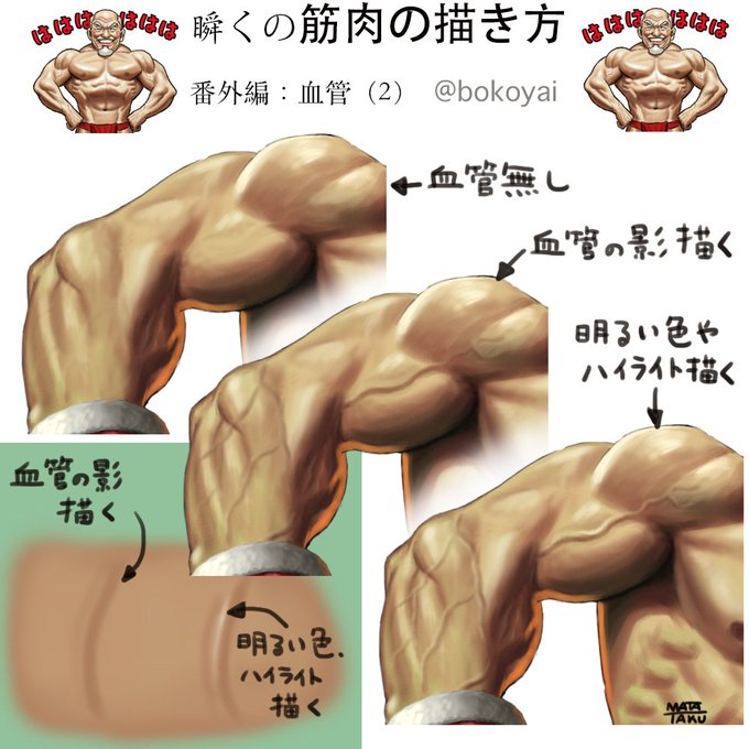 筋肉の描き方のtwitterイラスト検索結果