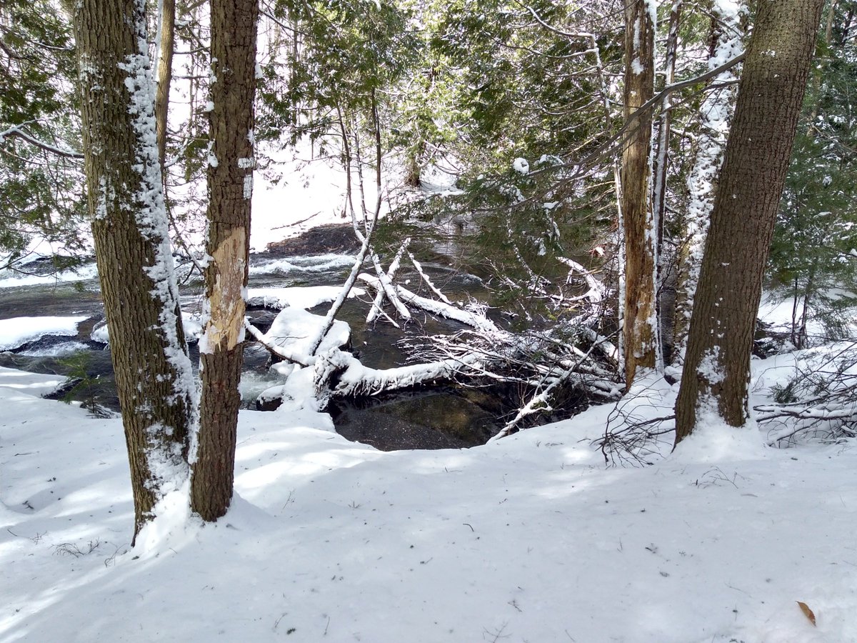 justabitfurther's tweet photo. A couple more pics #FishHatcheryFalls from yesterday #BentRiver @explorersedge @MuskokaTourism @Muskoka411 @NorthMuskoka @TourismON #springtimebutsnow #adventure #hiking #outdoors #hike @TourismON https://t.co/DkPNcFh1lp