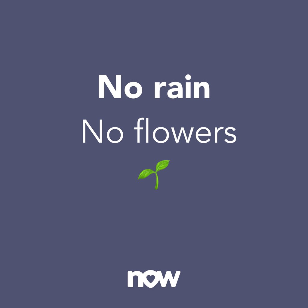 nowdating.io 

Be a flower in the concrete 🌺

#Happy #Love #QOTD #Motivation #Smile