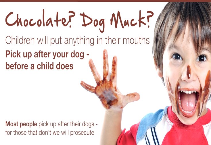 When you let your dog out, please consider the impact of allowing it to foul in public areas and scoop the poop #DontBeFoul