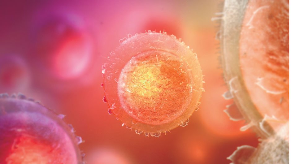 CCTreatment's tweet photo. The CC Formula does not target any particular #disease; it seeks all disease-carrying or disease-prone cells. The cream based #formula administers #minerals to the #cells directly through the skin’s #dermal layers, no ingestion or injections: https://t.co/7HedoNe0AW #CCTreatment https://t.co/c0VfawyJJM