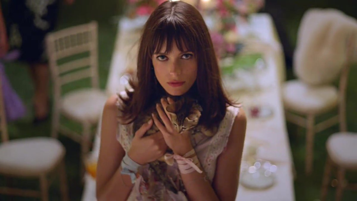 StacyMartinNet's tweet image. #StacyMartin and cats ❤️