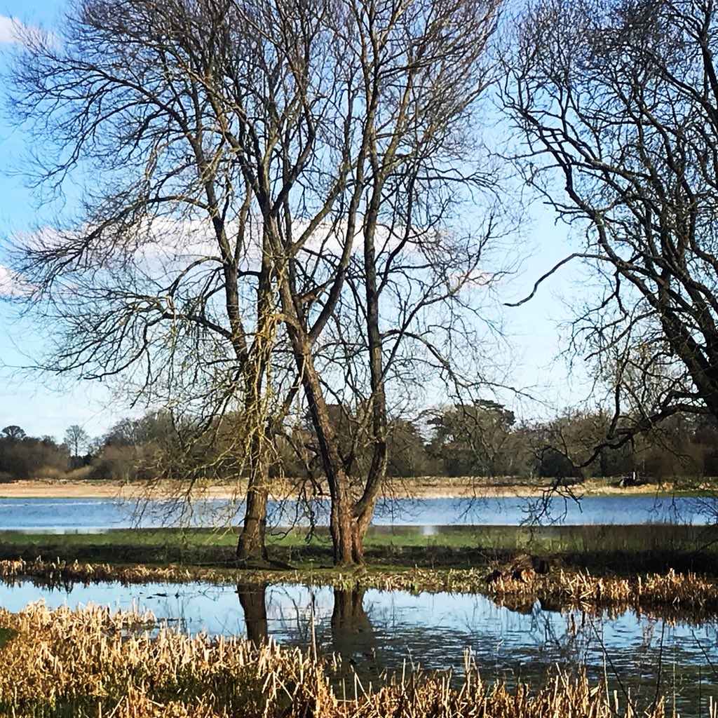 MiddlethorpeHal's tweet photo. The #river Ouse is still high but the #floods over the #middlethorpe Ings make for some lovely pictures! Our #parkland #lake is in the foreground.
@VisitYorkBiz @Welcome2Yorks @YorkshireBloom @NTYorkshire @boutiquedasilva @pobhotels #york #yorkshire https://t.co/Ymg39dNQ3Y