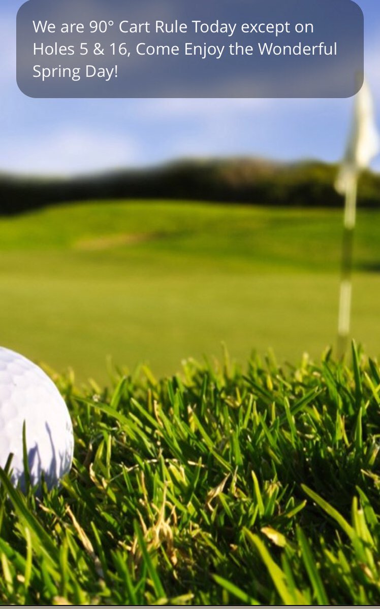 Buggies off the path! #giddyup