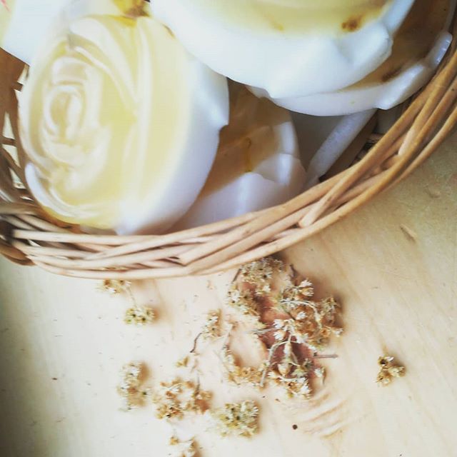 spa_ivana's tweet photo. Imortelle&Calendula Big Rose soap! Pure essential oils Tangerine and Rosemary, to energize yourself! #wholesale #holidayincroatia #croatia #summer #guest #apartment #zadarregion #zadar #vir #pag #zrce #soap #handmade #handmadesoap #soaping #sapshare #l… https://t.co/zRQSezbsGC https://t.co/Hc05m0VMgW