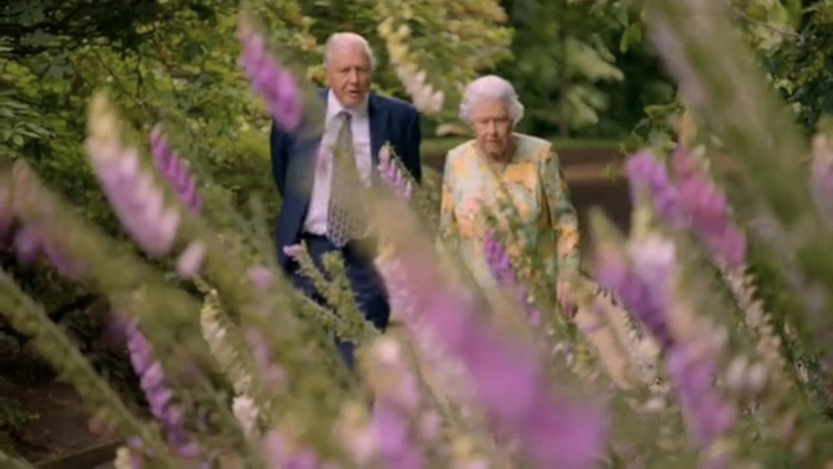 chrisshipitv's tweet image. First look at the unique chat between The Queen &amp;amp; Sir David Attenborough which will air on @ITV on 16 April about @QueensCanopy.
WATCH a preview of #QueensGreenPlanet here: youtube.com/watch?v=noX0NI…